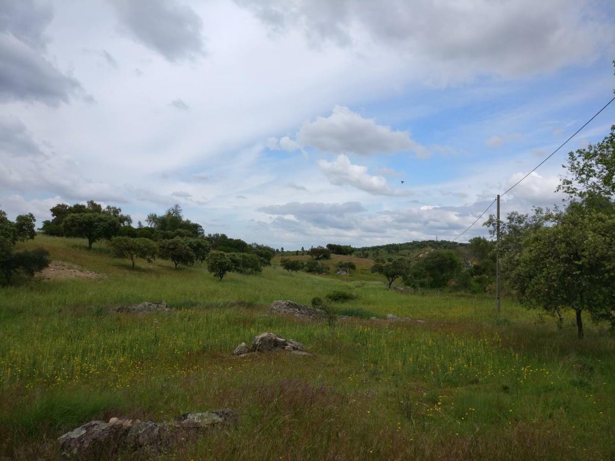 Quinta Da Abrunheira - Gustavo Eiffel Guest House Ciborro ภายนอก รูปภาพ