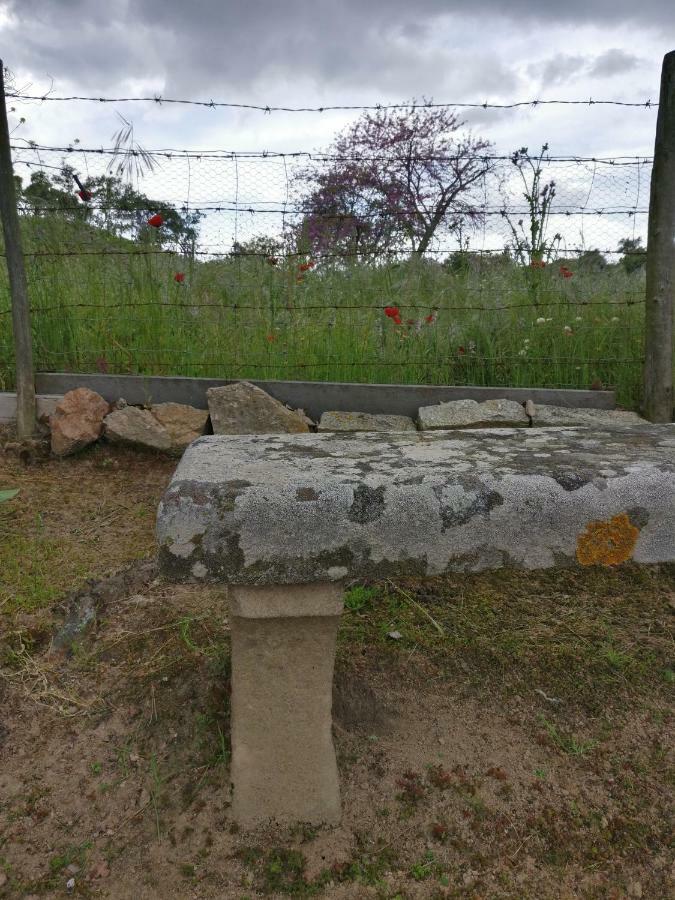 Quinta Da Abrunheira - Gustavo Eiffel Guest House Ciborro ภายนอก รูปภาพ
