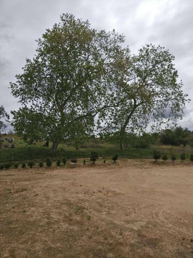 Quinta Da Abrunheira - Gustavo Eiffel Guest House Ciborro ภายนอก รูปภาพ