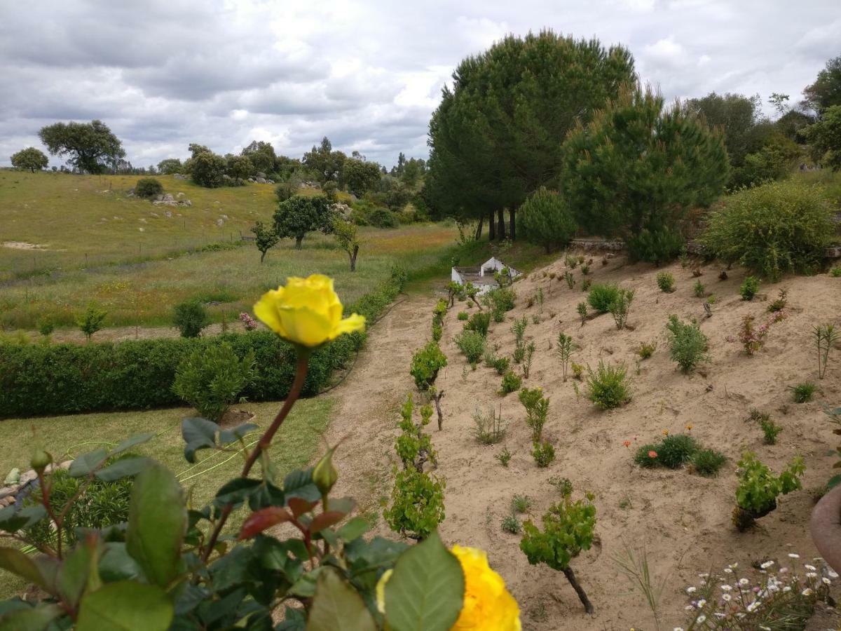 Quinta Da Abrunheira - Gustavo Eiffel Guest House Ciborro ภายนอก รูปภาพ